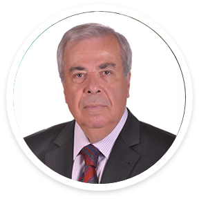 Professor Mahmoud NASREDDINE