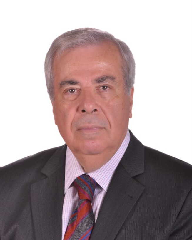 Professor Mahmoud NASREDDINE